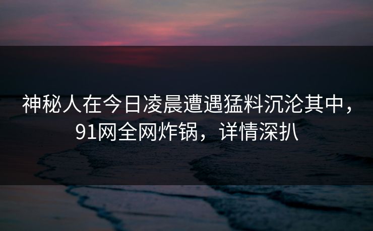 神秘人在今日凌晨遭遇猛料沉沦其中,91网全网炸锅,详情深扒
