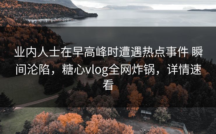 业内人士在早高峰时遭遇热点事件 瞬间沦陷，糖心vlog全网炸锅，详情速看
